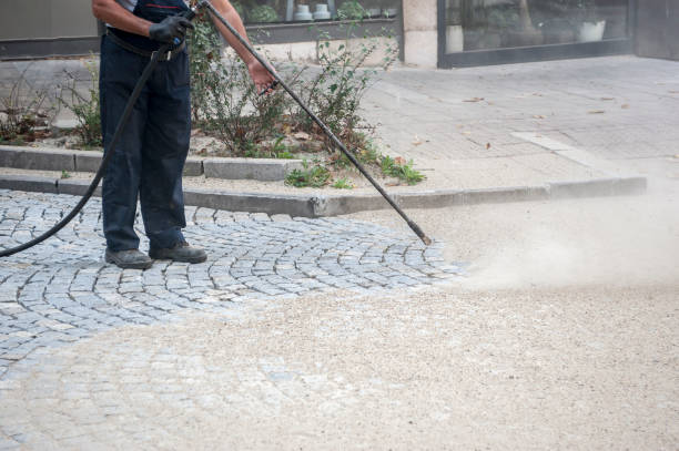 Best Driveway Cleaning and Restoration in Opelousas, LA